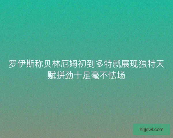 罗伊斯称贝林厄姆初到多特就展现独特天赋拼劲十足毫不怯场 罗伊斯称贝林厄姆初到多特就展现独特天赋拼劲十足毫不怯场